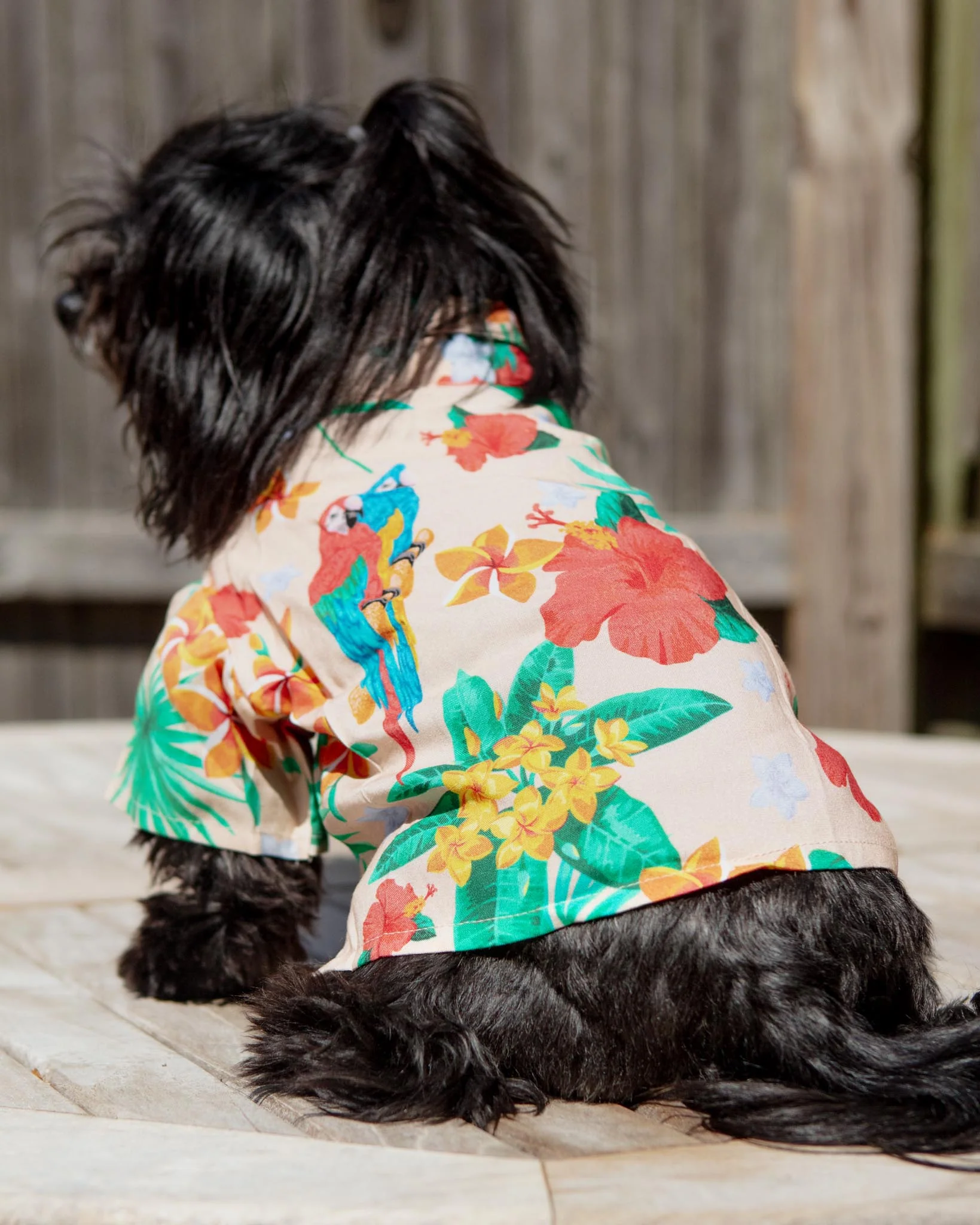 Island Time BBQ Dog Shirt (FINAL SALE) - Image 3