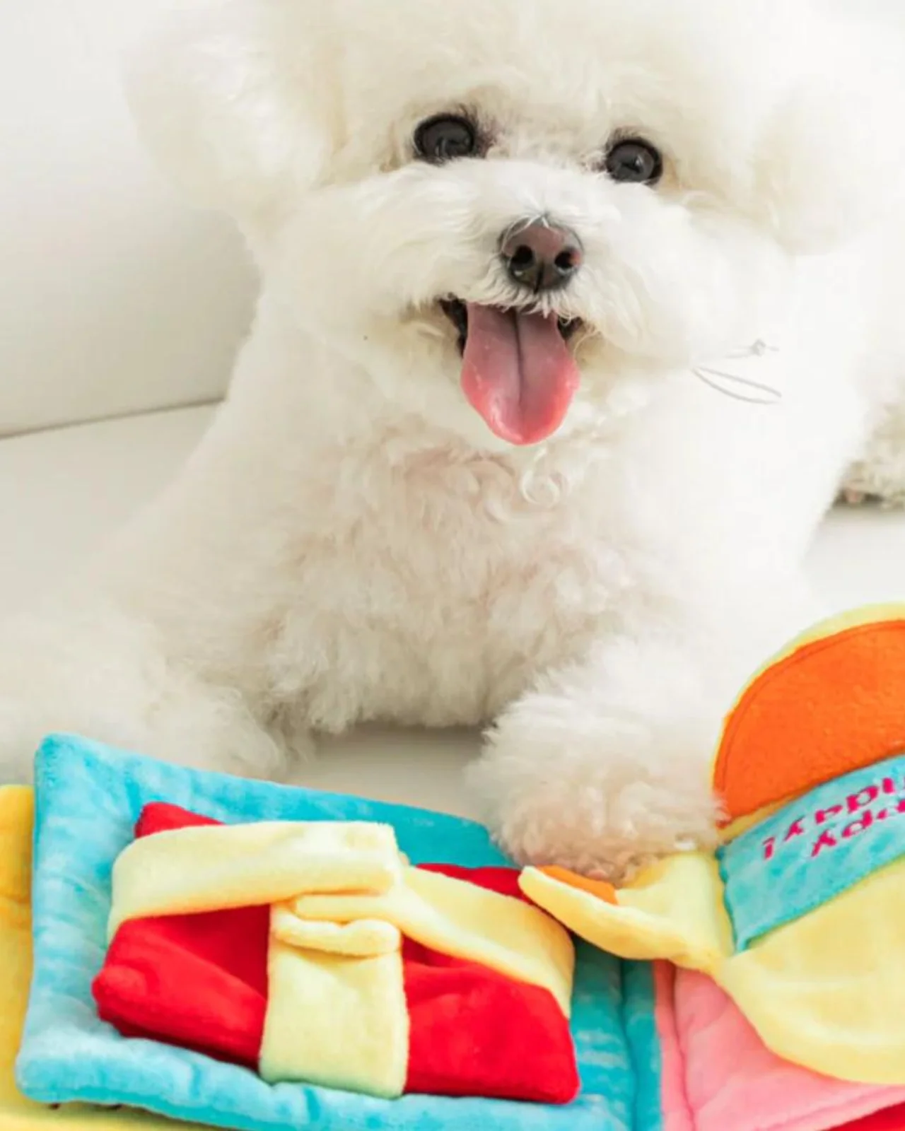 My Birthday Dog Nosework Plush Book Toy - Image 9