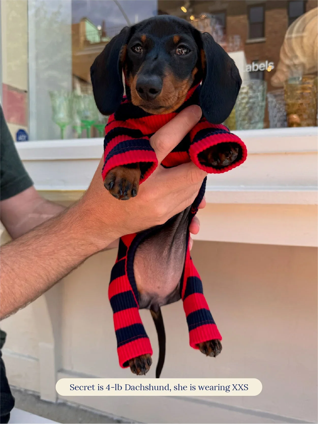 Ivy League Ribbed Dog Onesie - Image 11