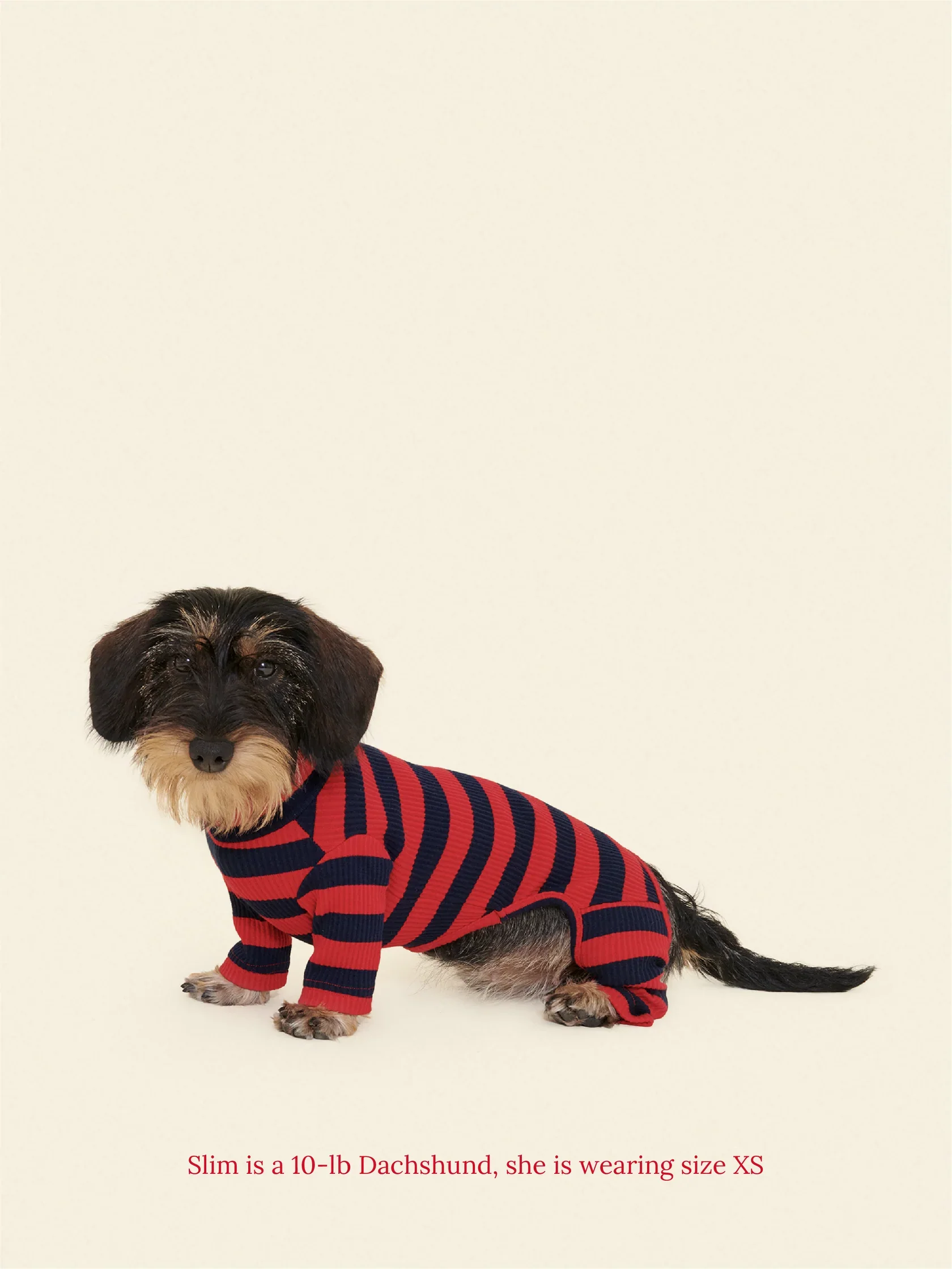 Ivy League Ribbed Dog Onesie - Image 2