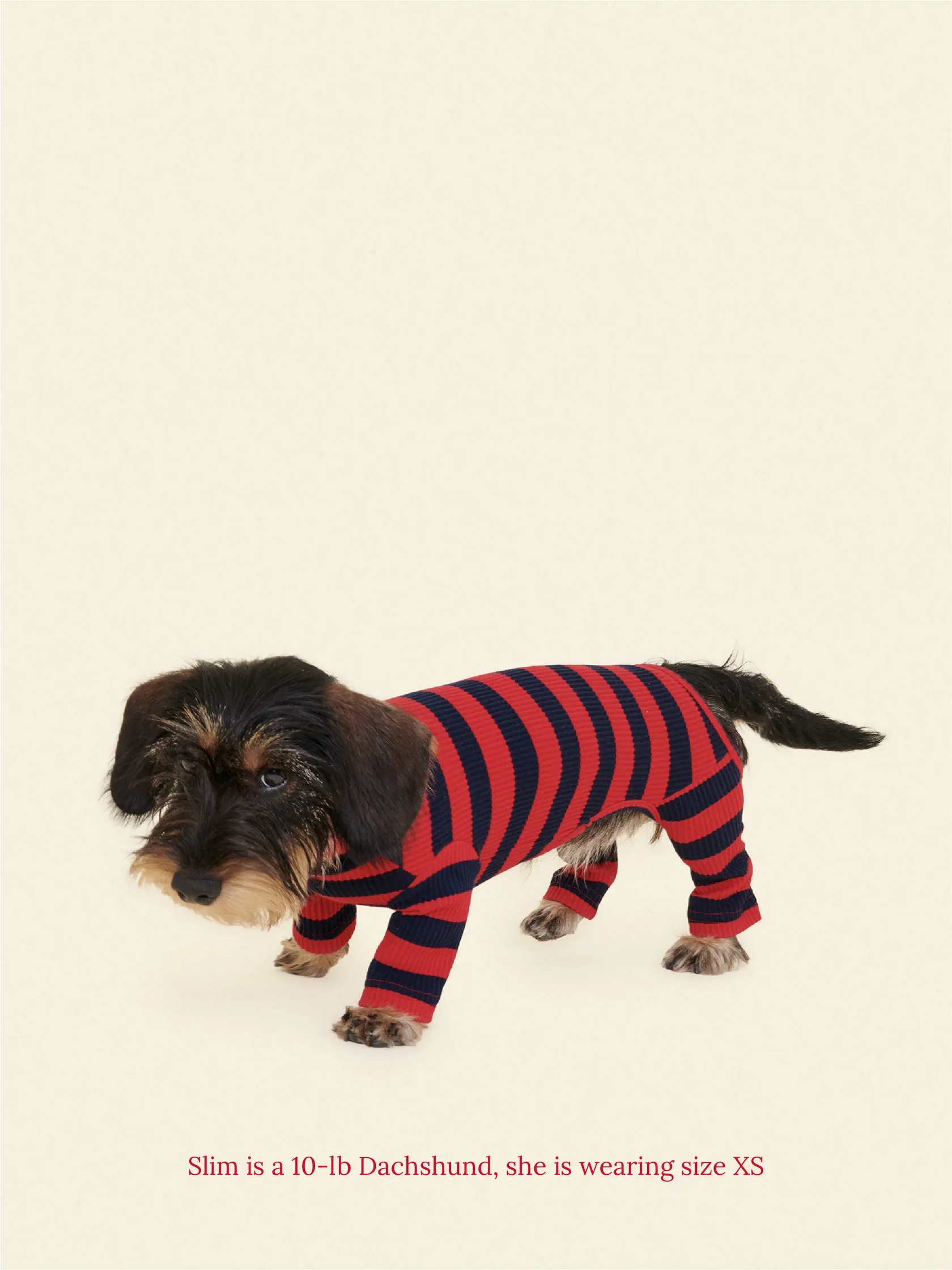 Ivy League Ribbed Dog Onesie - Image 3