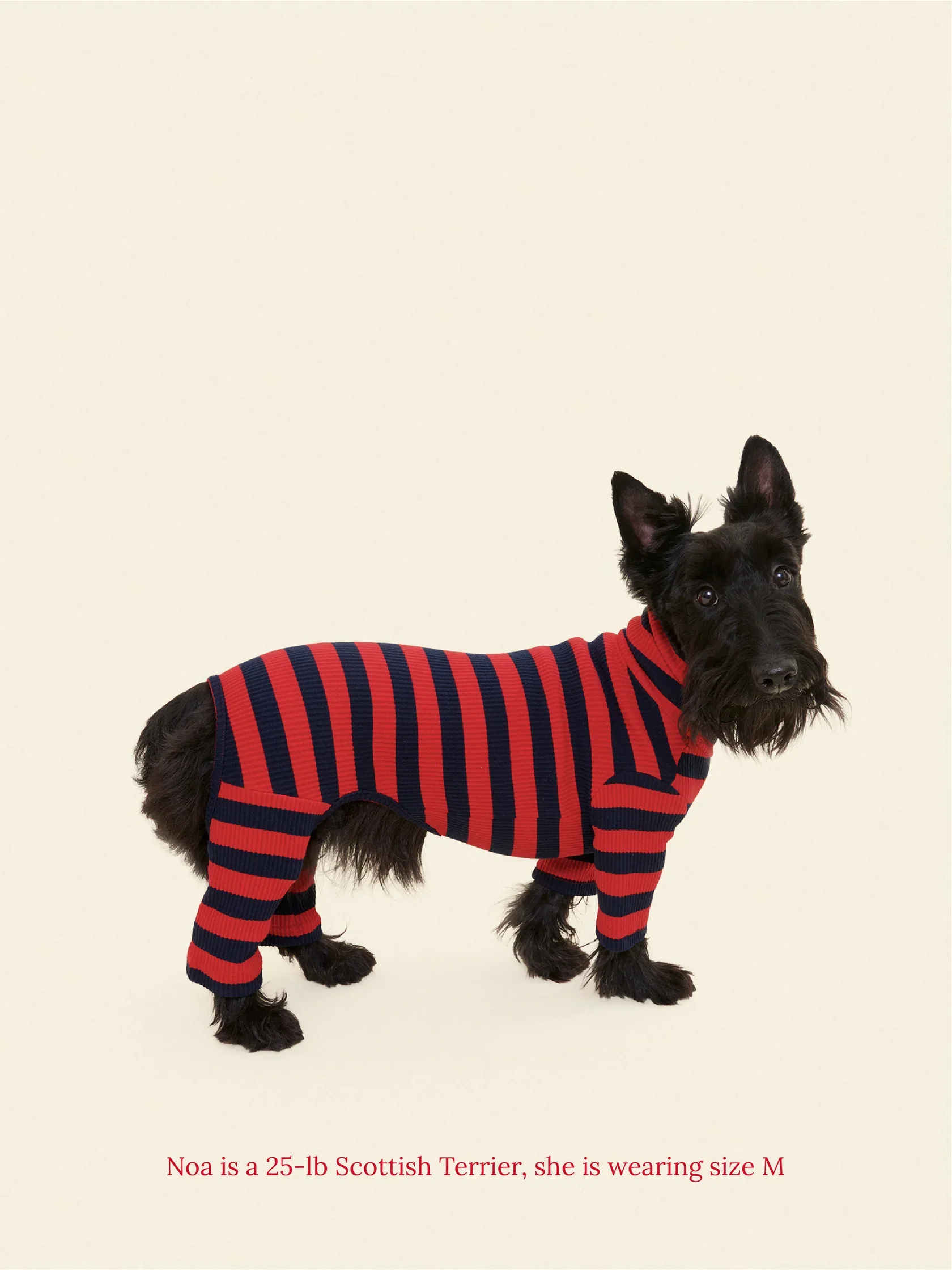 Ivy League Ribbed Dog Onesie - Image 4