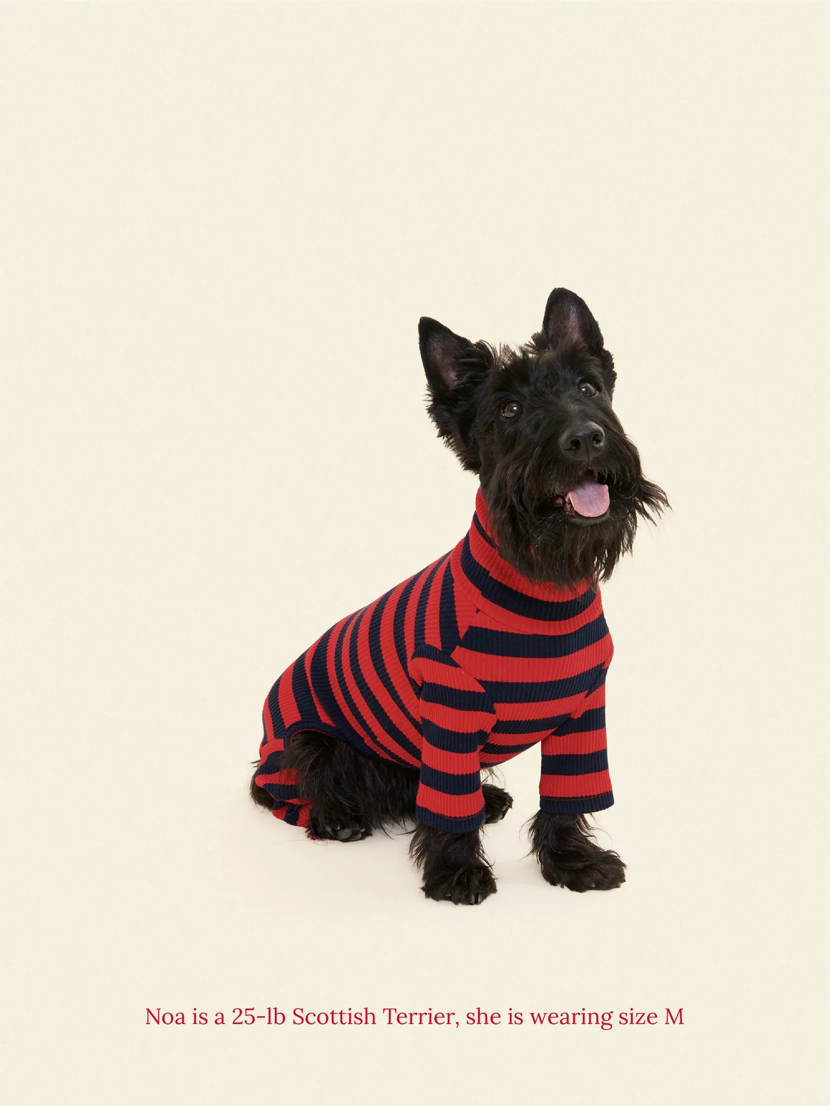Ivy League Ribbed Dog Onesie - Image 5