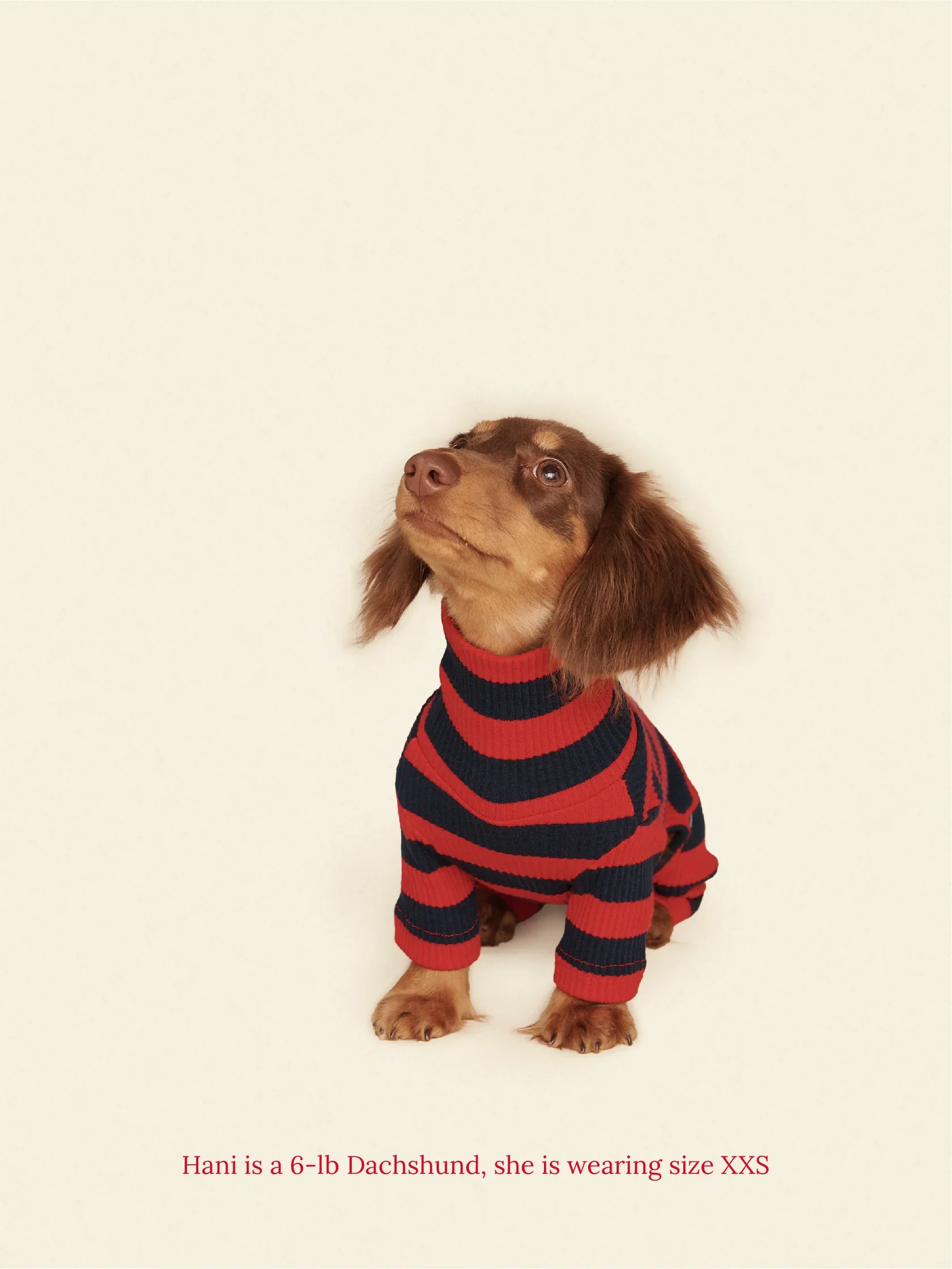 Ivy League Ribbed Dog Onesie - Image 7