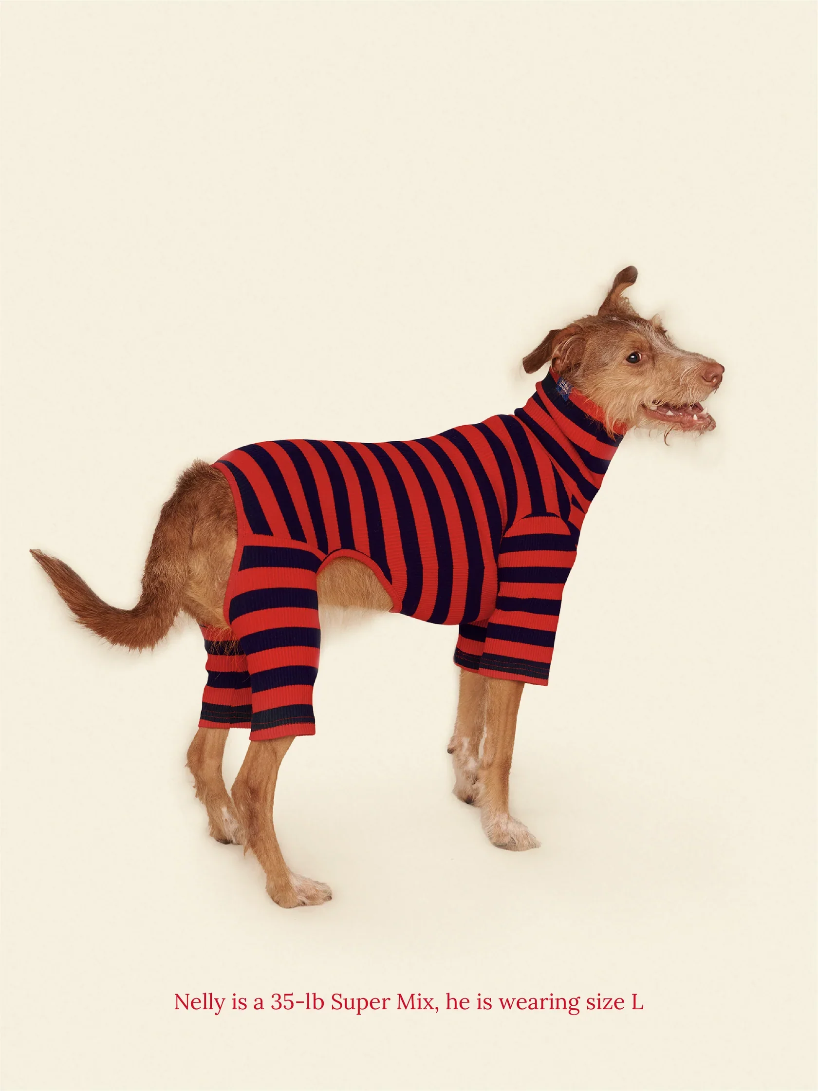 Ivy League Ribbed Dog Onesie - Image 9