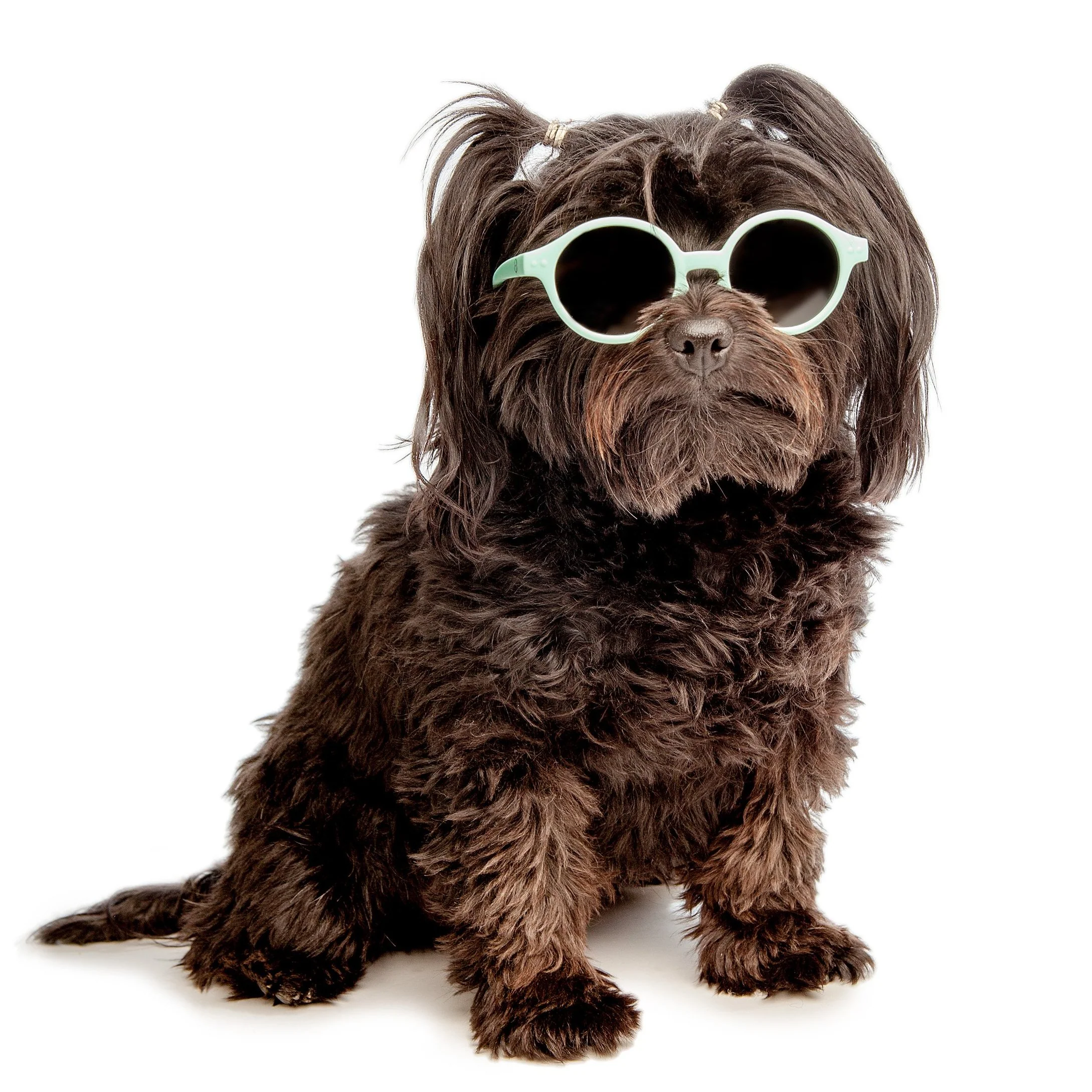 Baby Sunglasses in Milk White << FINAL SALE >> - Image 7