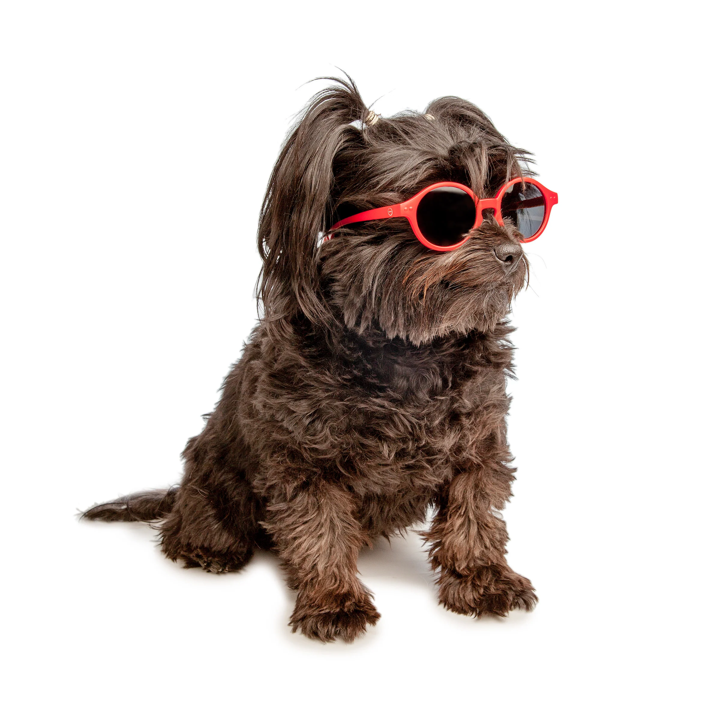 IZIPIZI | Sunglasses in Red - Image 2