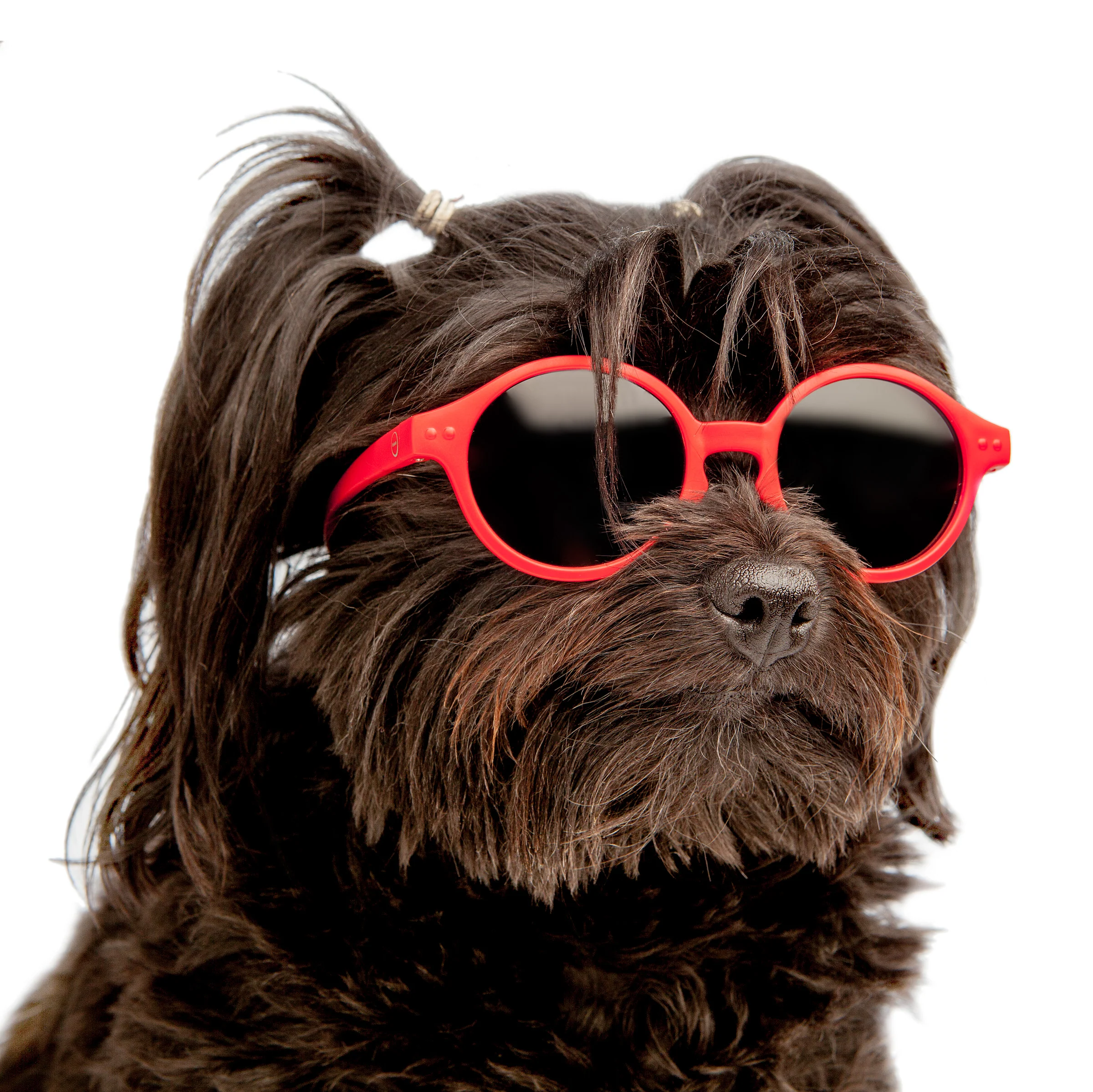 IZIPIZI | Sunglasses in Red - Image 3