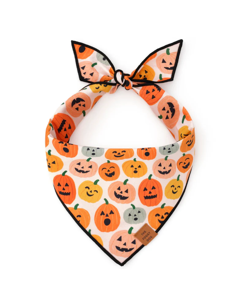 Jack-O-Lanterns Reversible Dog Bandana (Made in the USA) - Image 3