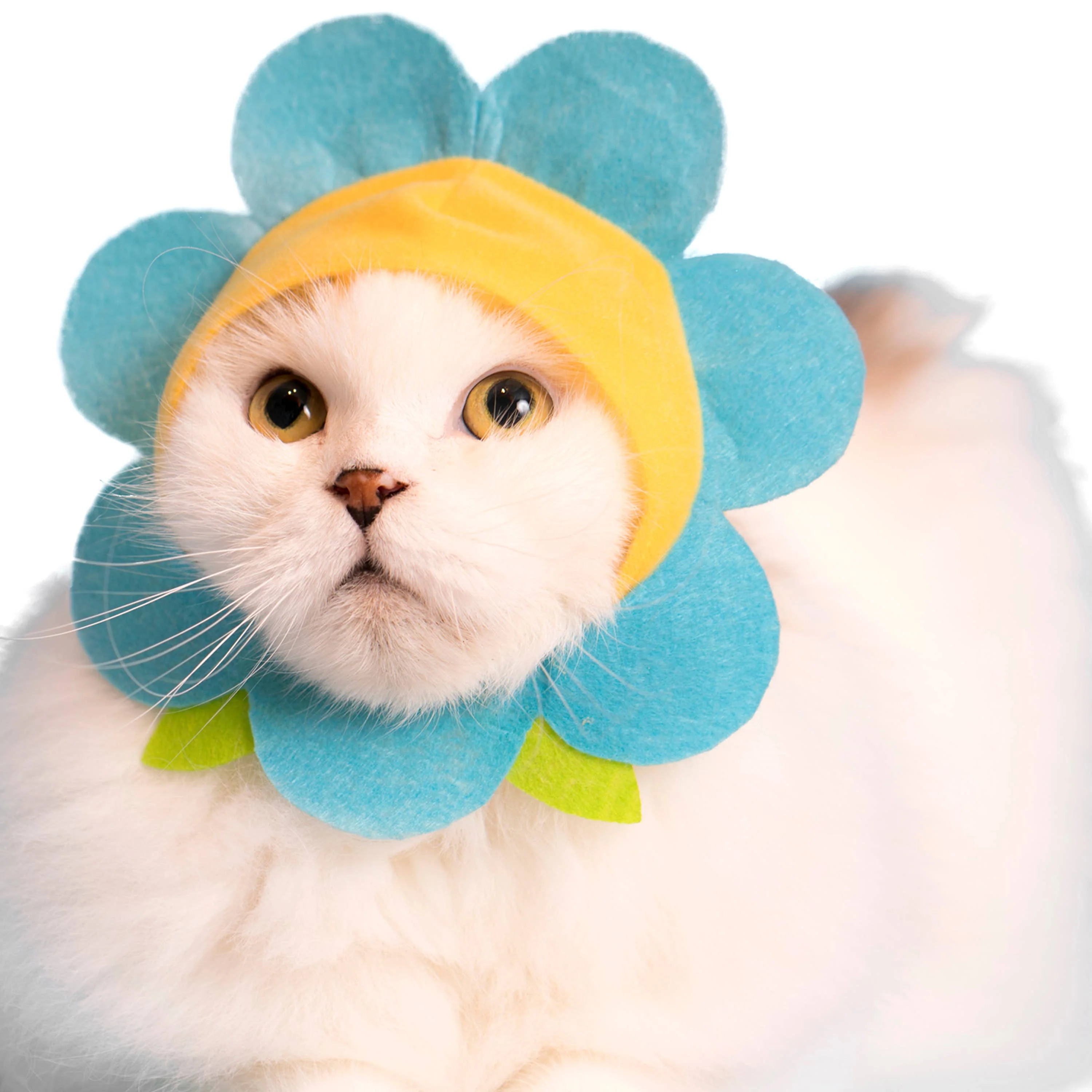 Flower Cap for Cats (Surprise Box) - Image 4