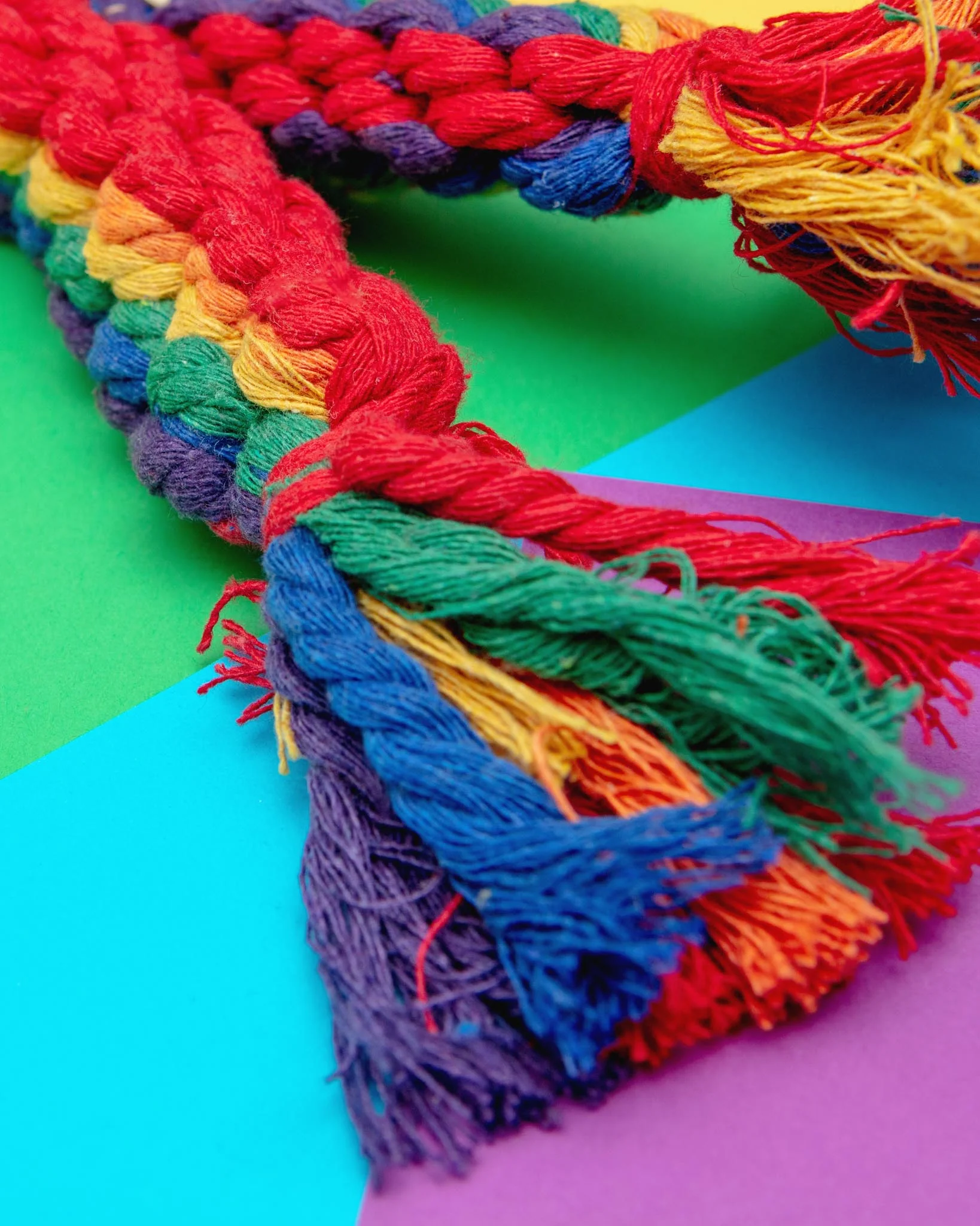Rainbow Rope Dog Toy - Image 2