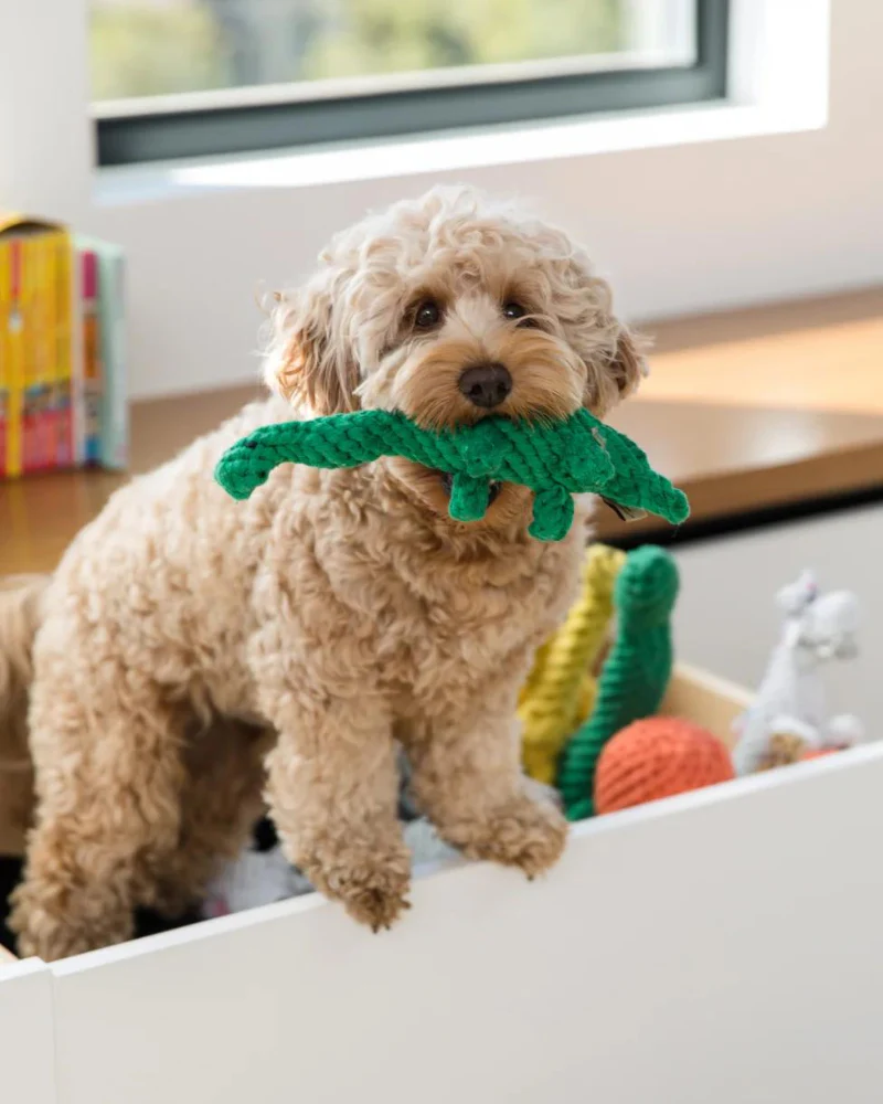 Brent the Brontosaurus Rope Dog Toy - Image 2