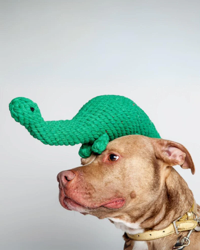 Brent the Brontosaurus Rope Dog Toy - Image 3