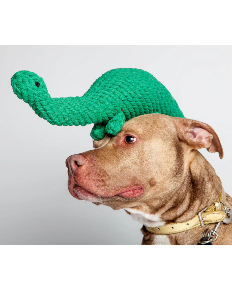 Brent the Brontosaurus Rope Dog Toy - Image 5