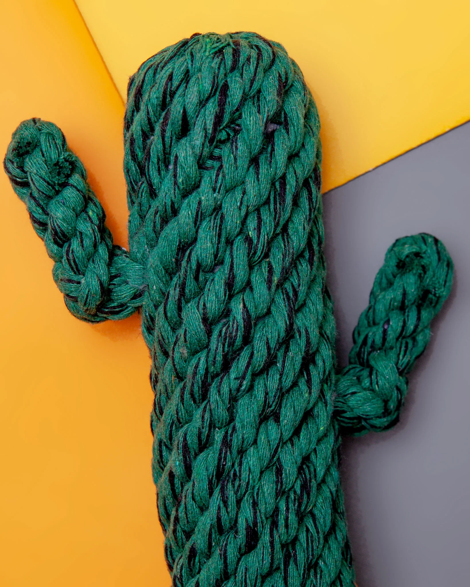 Cactus Rope Dog Toy - Image 2