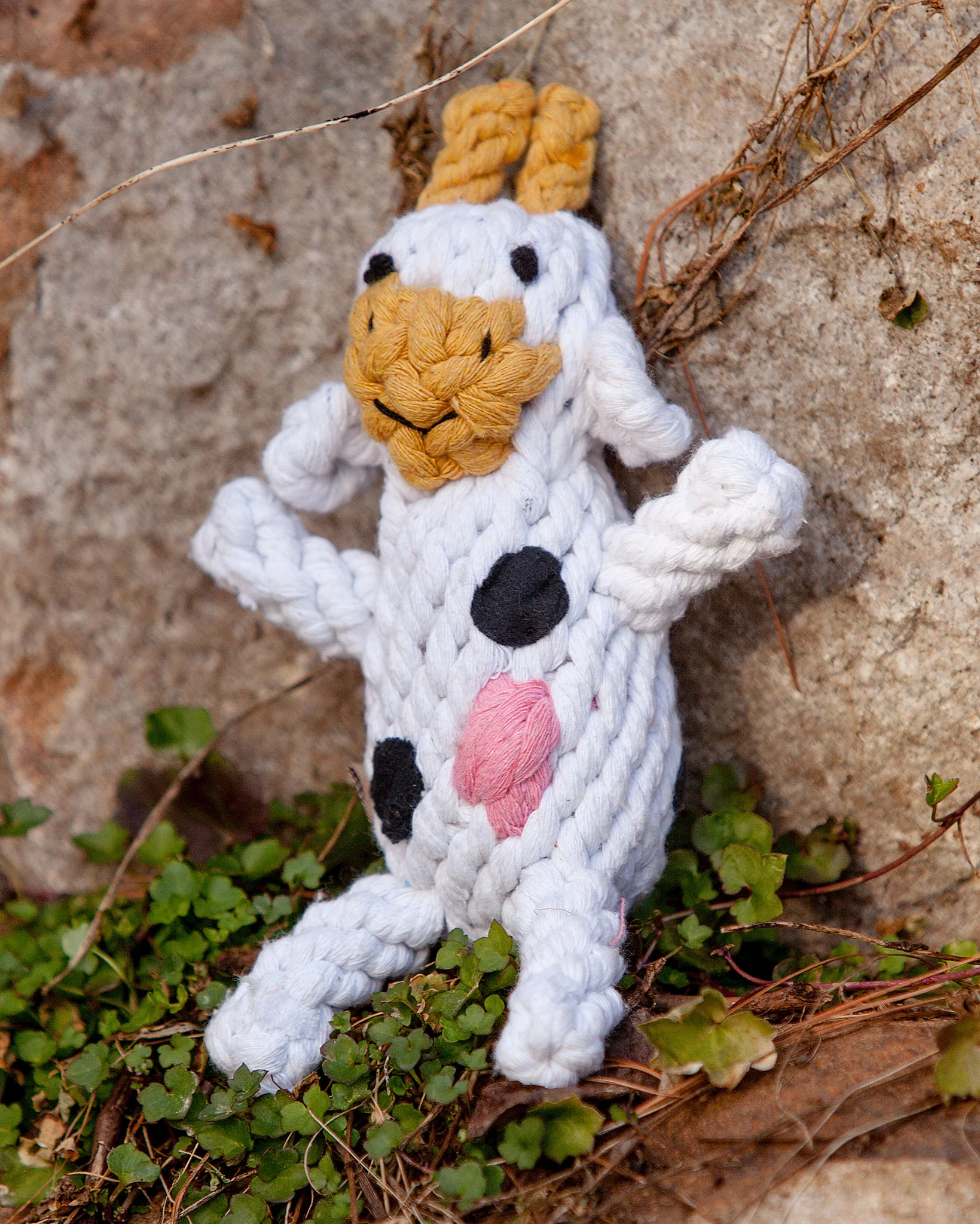 Claire the Cow Rope Dog Toy - Image 3