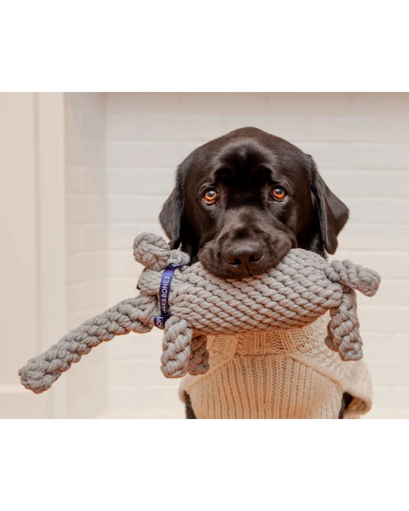Coco the Elephant Rope Dog Toy - Image 2
