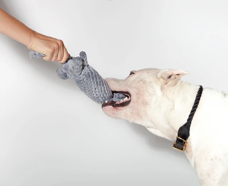 Coco the Elephant Rope Dog Toy - Image 4