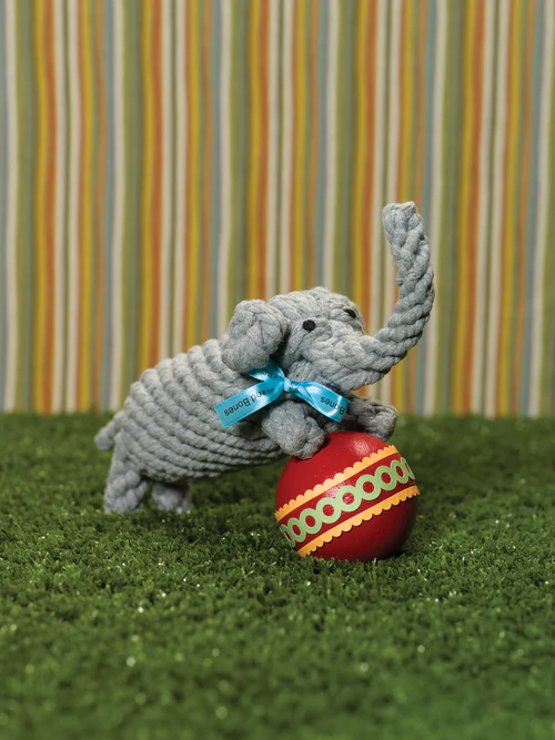 Coco the Elephant Rope Dog Toy - Image 6