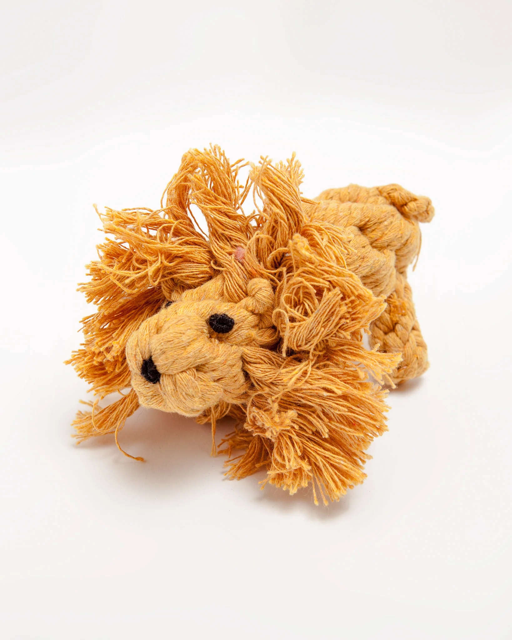 Larry the Lion Rope Dog Toy - Image 2
