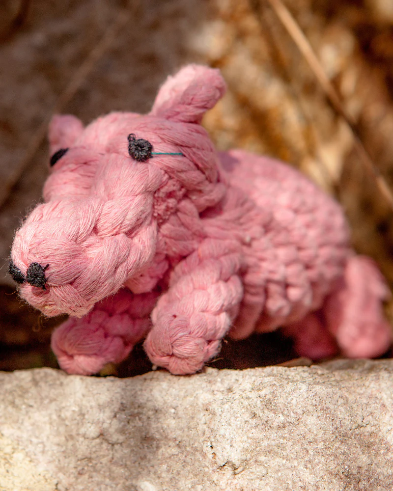 Penny the Pig Rope Dog Toy - Image 3