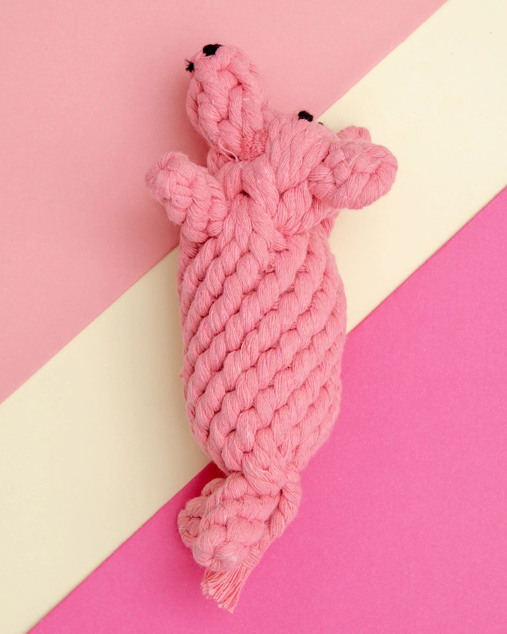 Penny the Pig Rope Dog Toy - Image 4