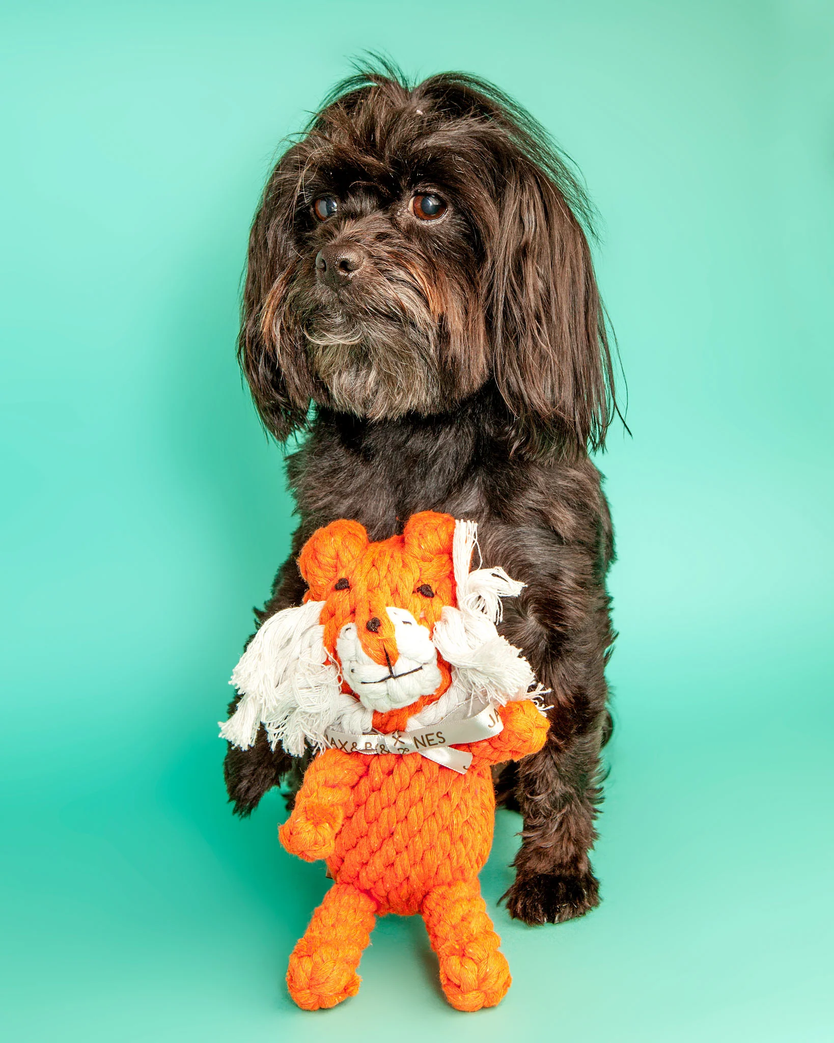 Timmi the Tiger Rope Dog Toy - Image 2