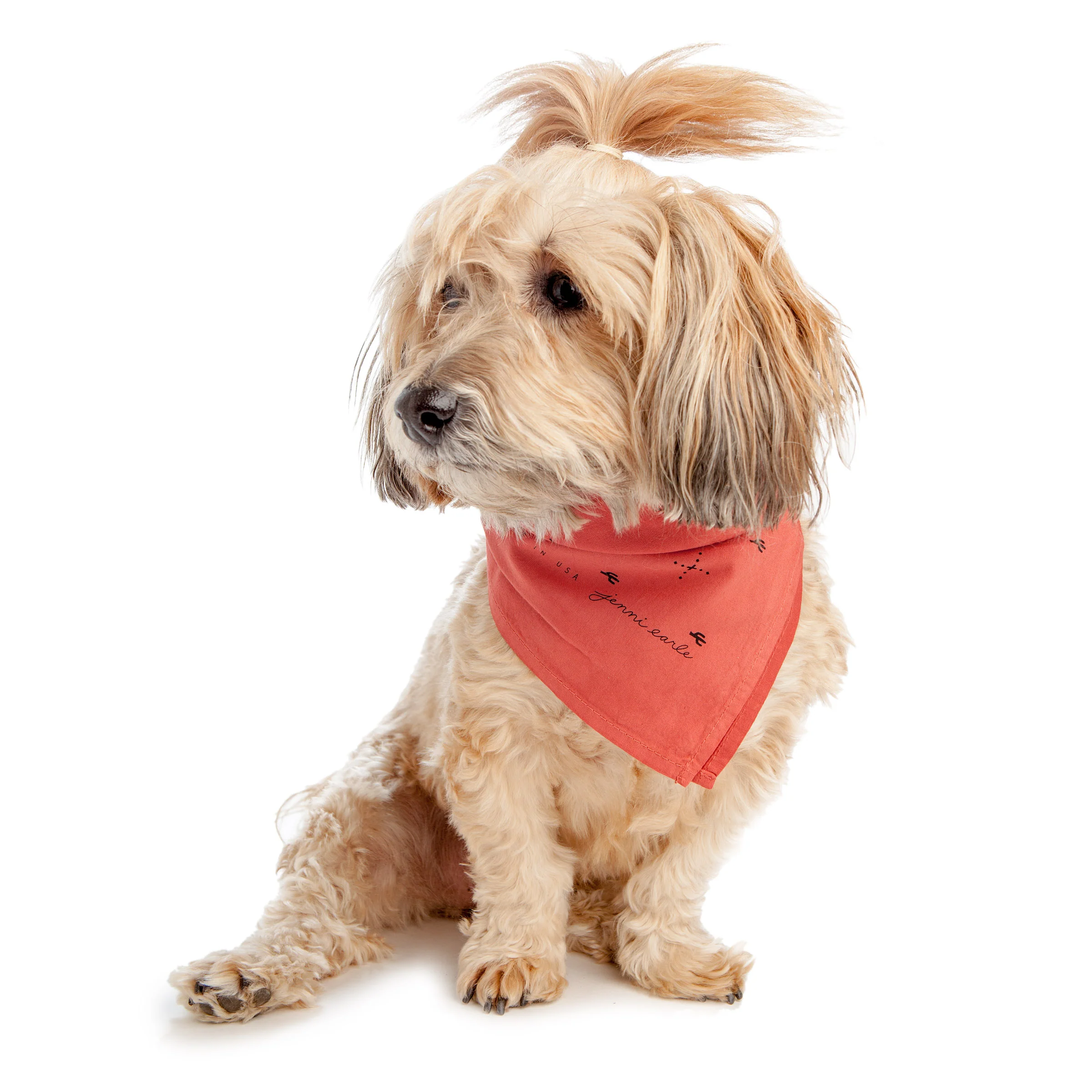 JENNI EARLE | Be Brave Bandana - Image 8