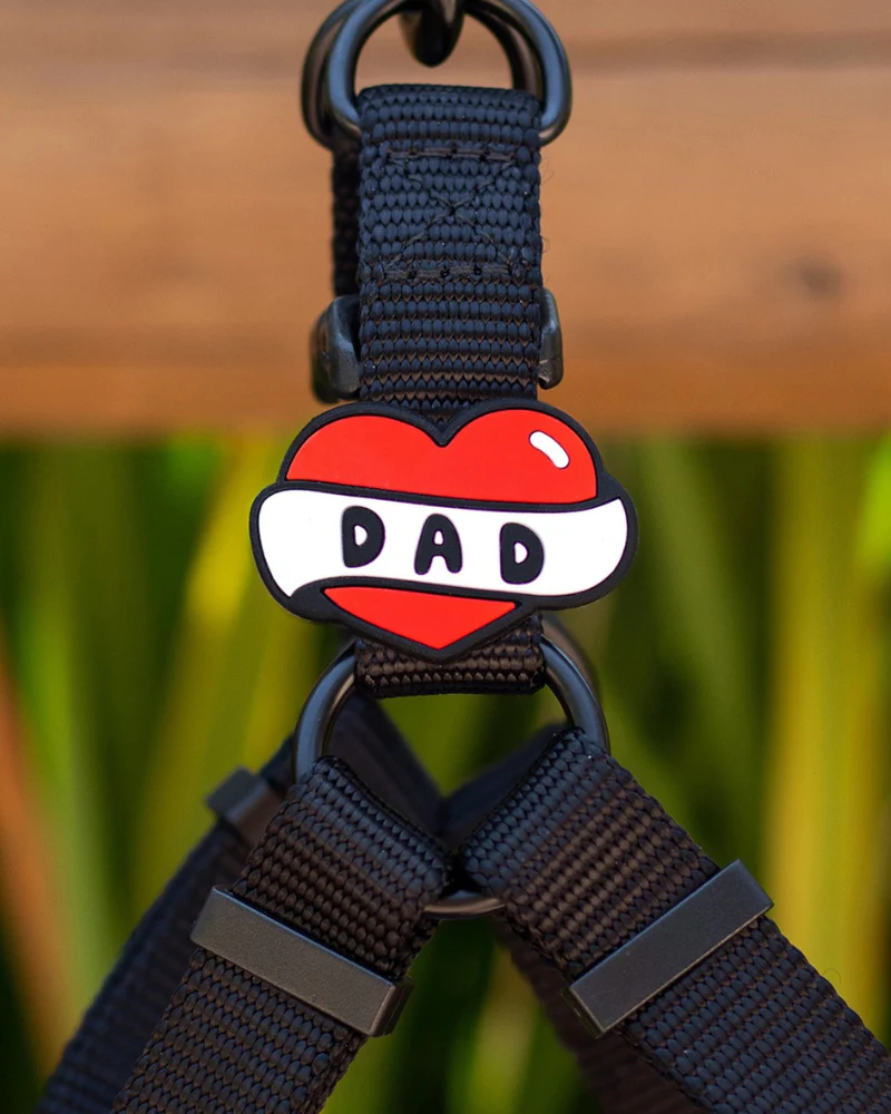 Jiby Silicone Slide On Pet Charms - Image 11