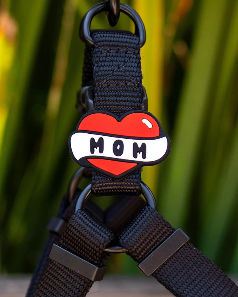 Jiby Silicone Slide On Pet Charms - Image 12