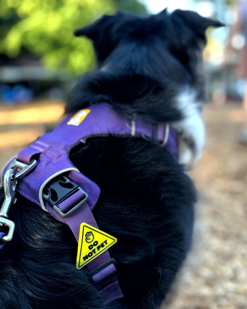 Jiby Silicone Slide On Pet Charms - Image 18