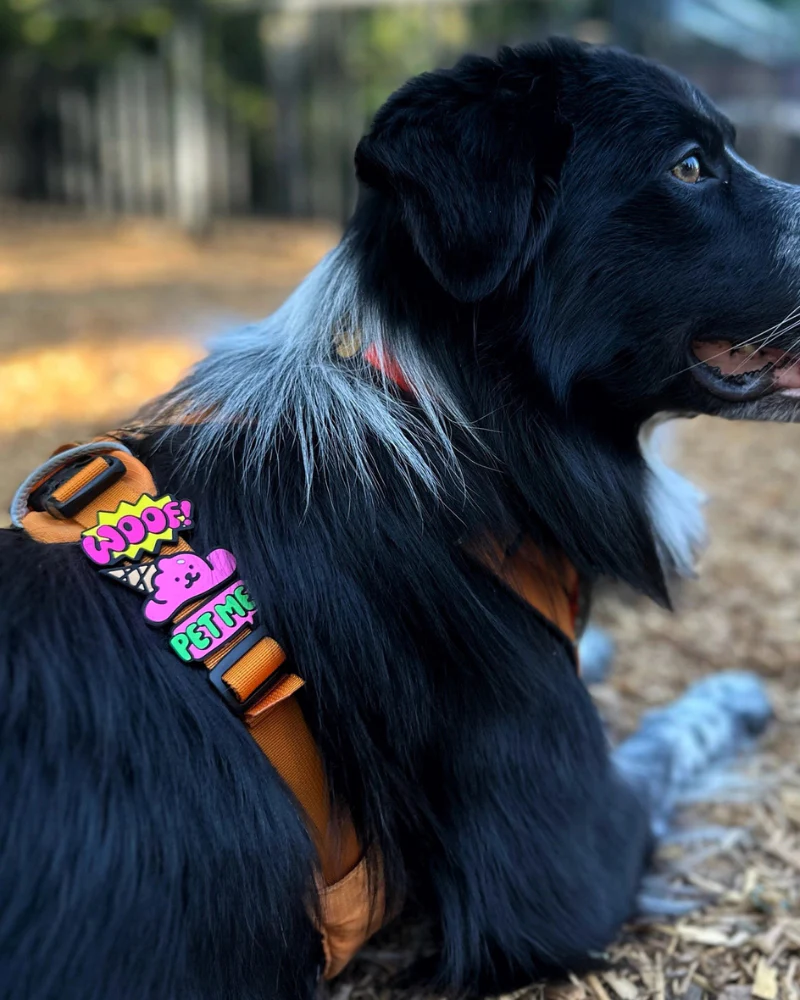 Jiby Silicone Slide On Pet Charms - Image 20