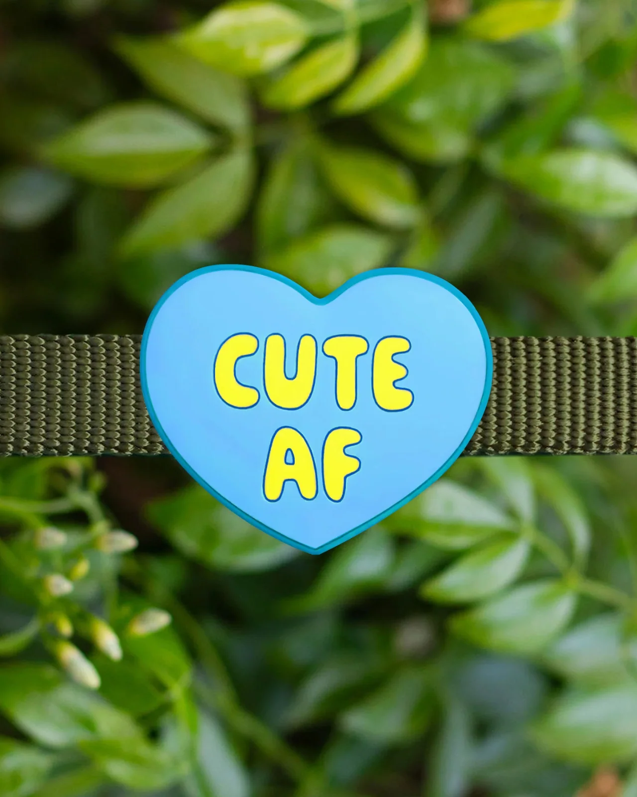 Jiby Silicone Slide On Pet Charms - Image 22