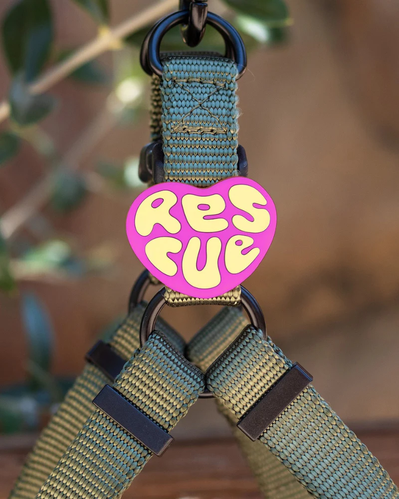 Jiby Silicone Slide On Pet Charms - Image 3