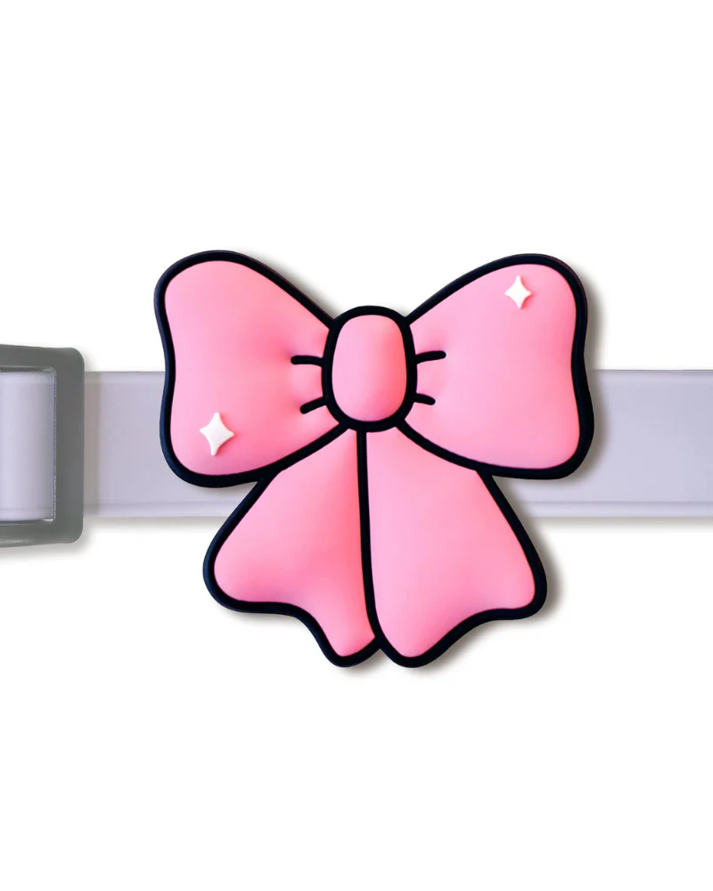 Jiby Silicone Slide On Pet Charms - Image 5