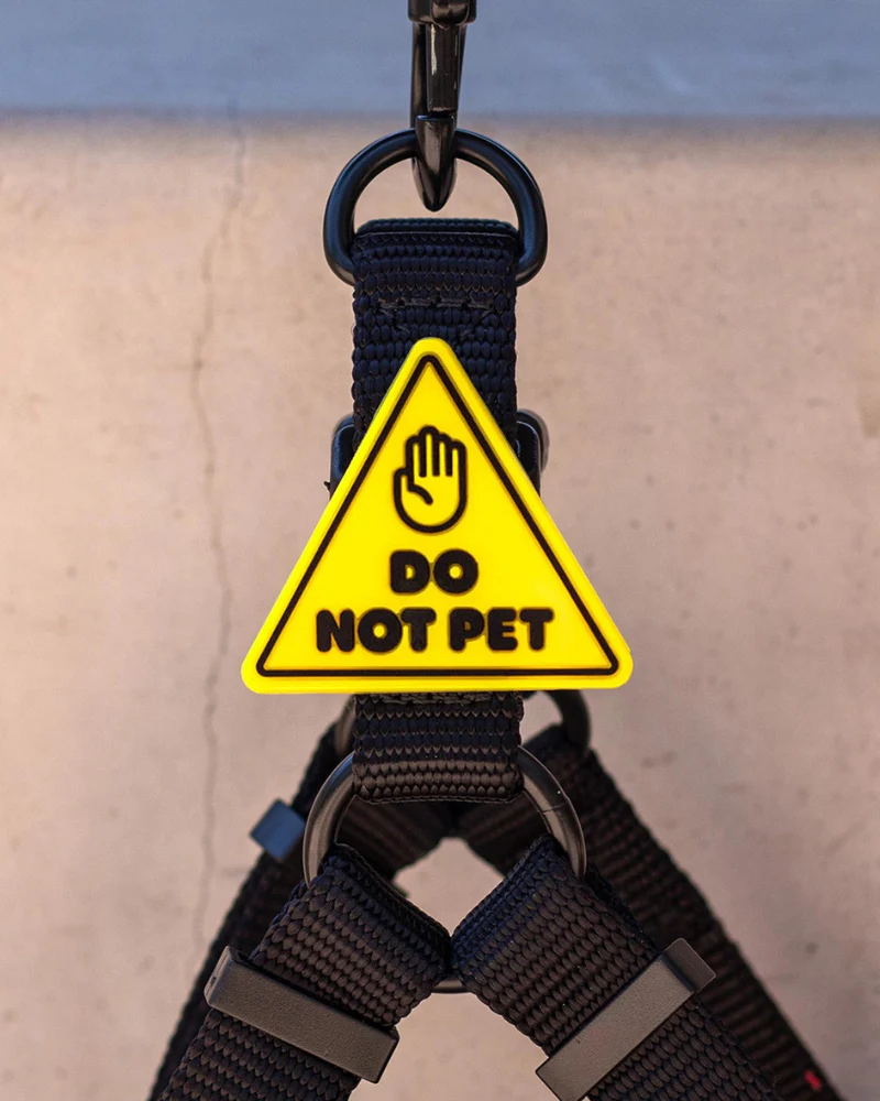 Jiby Silicone Slide On Pet Charms - Image 6