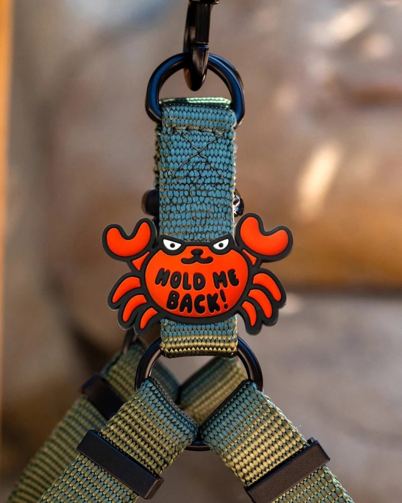 Jiby Silicone Slide On Pet Charms - Image 9