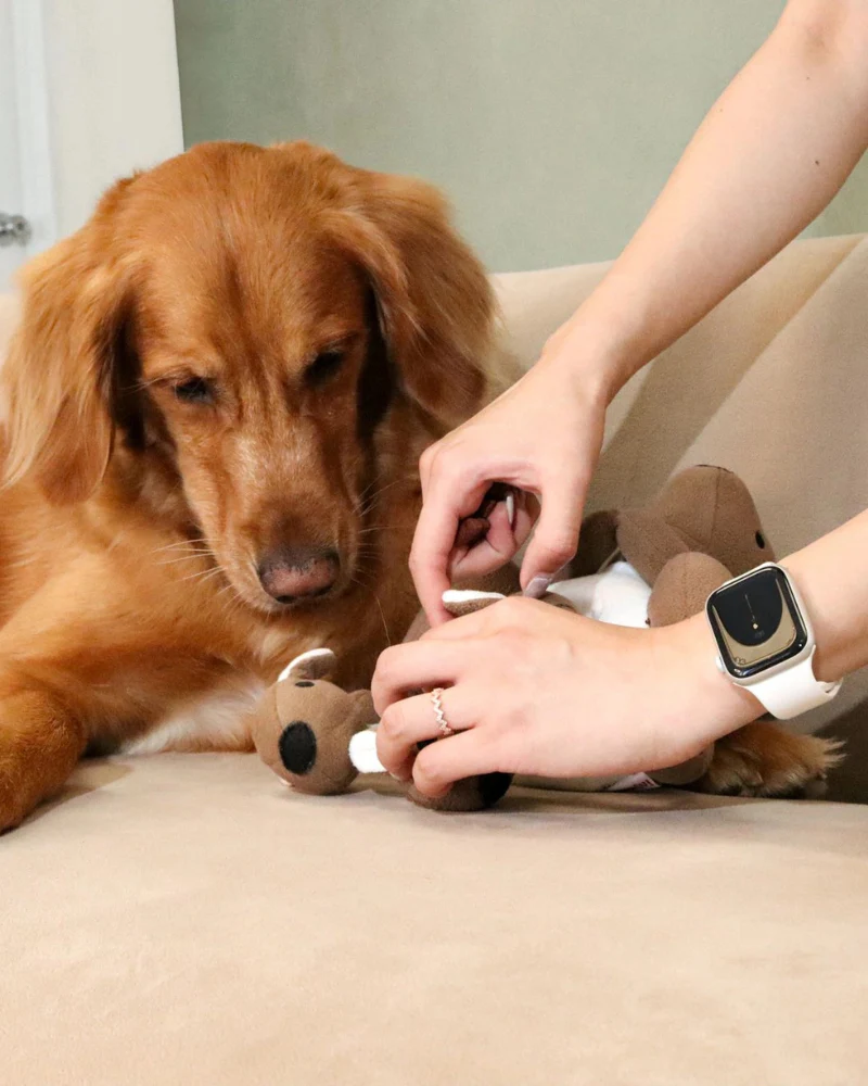 Joey Pouch Dog Snuffle Toy - Image 4