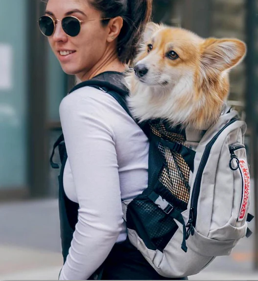 K9 SPORT SACK | Air Plus Backpack in Black - Image 6