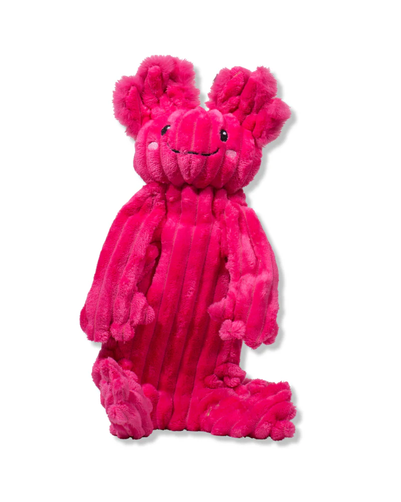 Kiki & Gillie Axolotl X-Brace™ Tough Dog Toys - Image 9