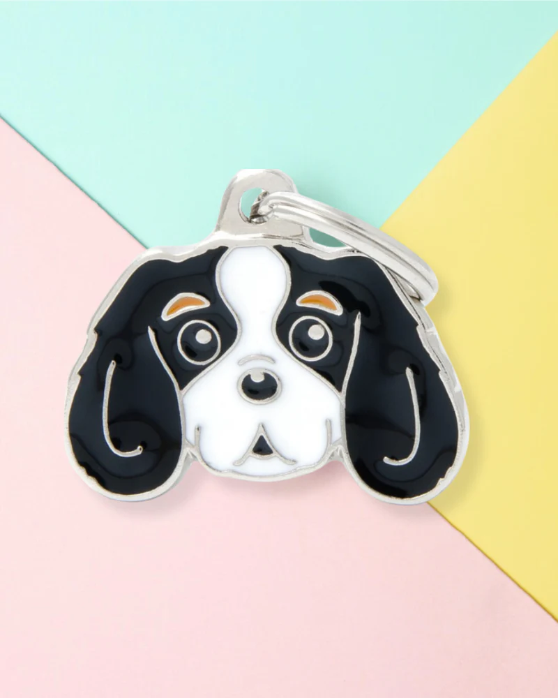 King of the Cavaliers Custom Pet ID Tag