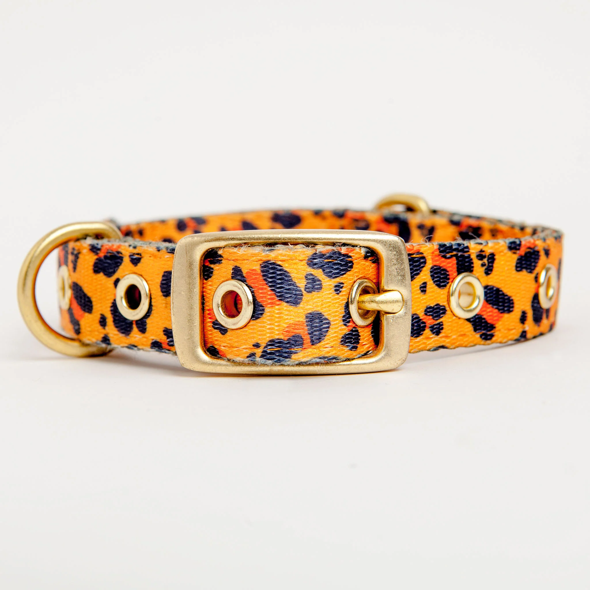 Tarzan Dog Collar - Image 4