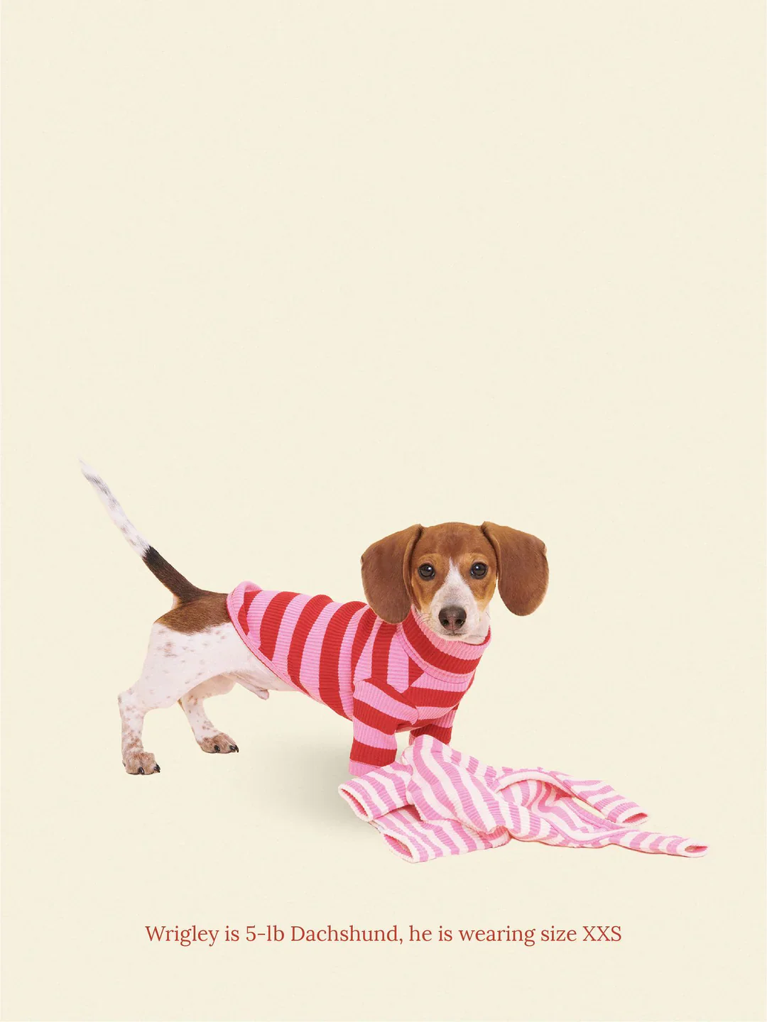 Kiss Me Ribbed Dog Shirt - Image 3