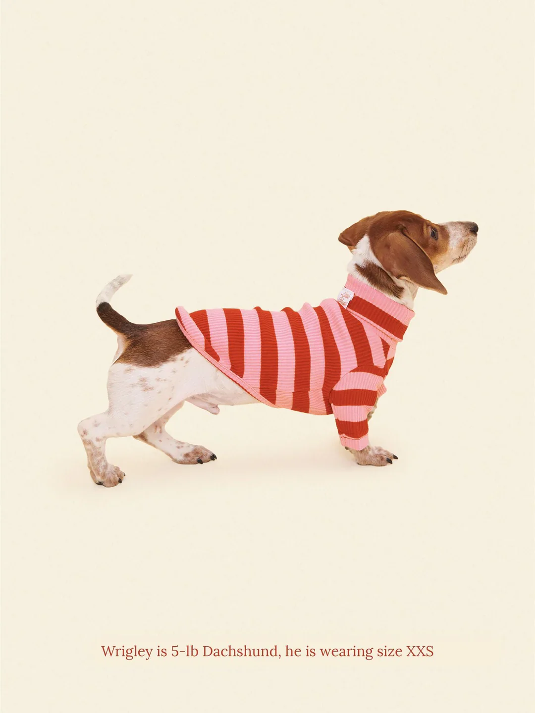 Kiss Me Ribbed Dog Shirt - Image 4