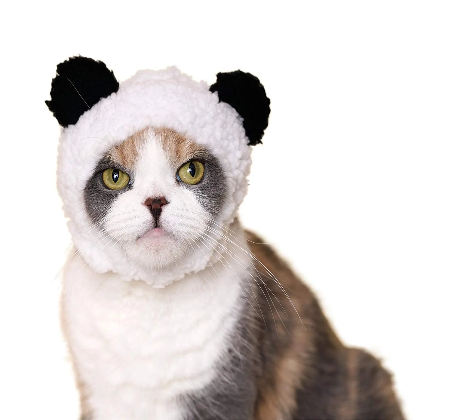Bear Cap for Cats (Surprise Box) - Image 3