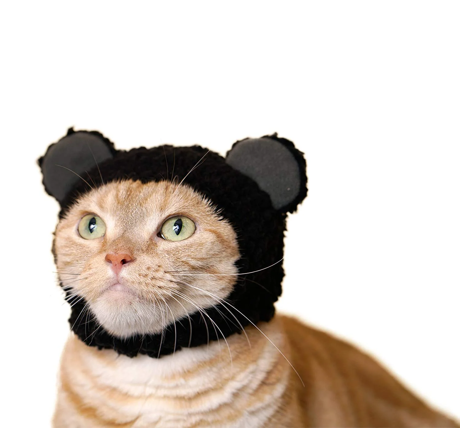 Bear Cap for Cats (Surprise Box) - Image 5