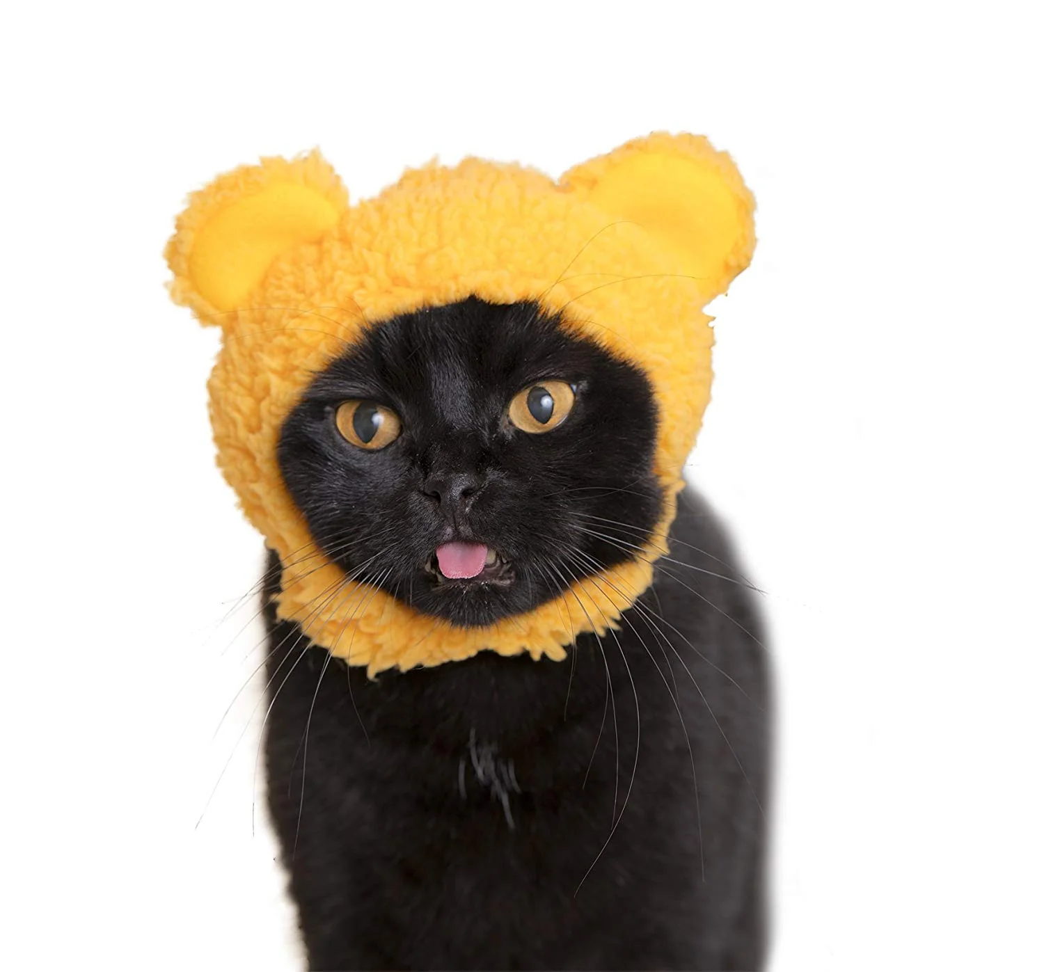 Bear Cap for Cats (Surprise Box) - Image 6