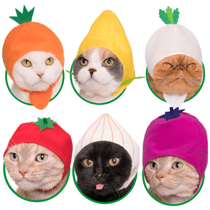 Bear Cap for Cats (Surprise Box) - Image 7