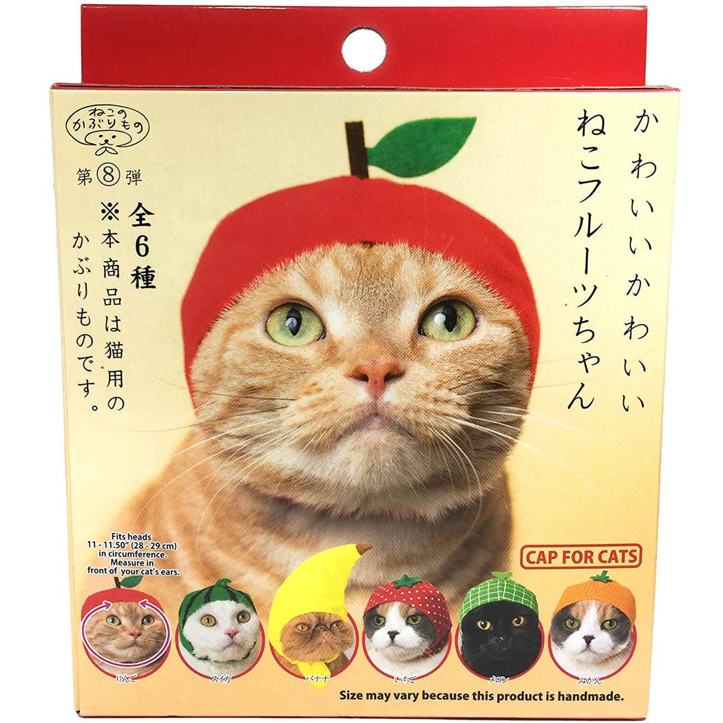 Bear Cap for Cats (Surprise Box) - Image 8