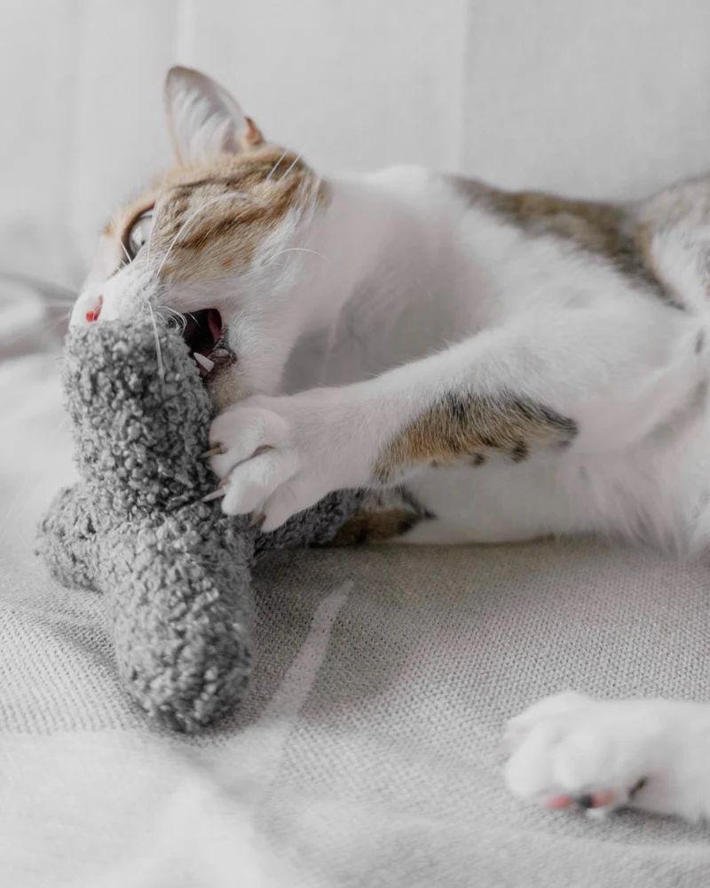 Kitty Breuer Crinkly Catnip Toy - Image 4